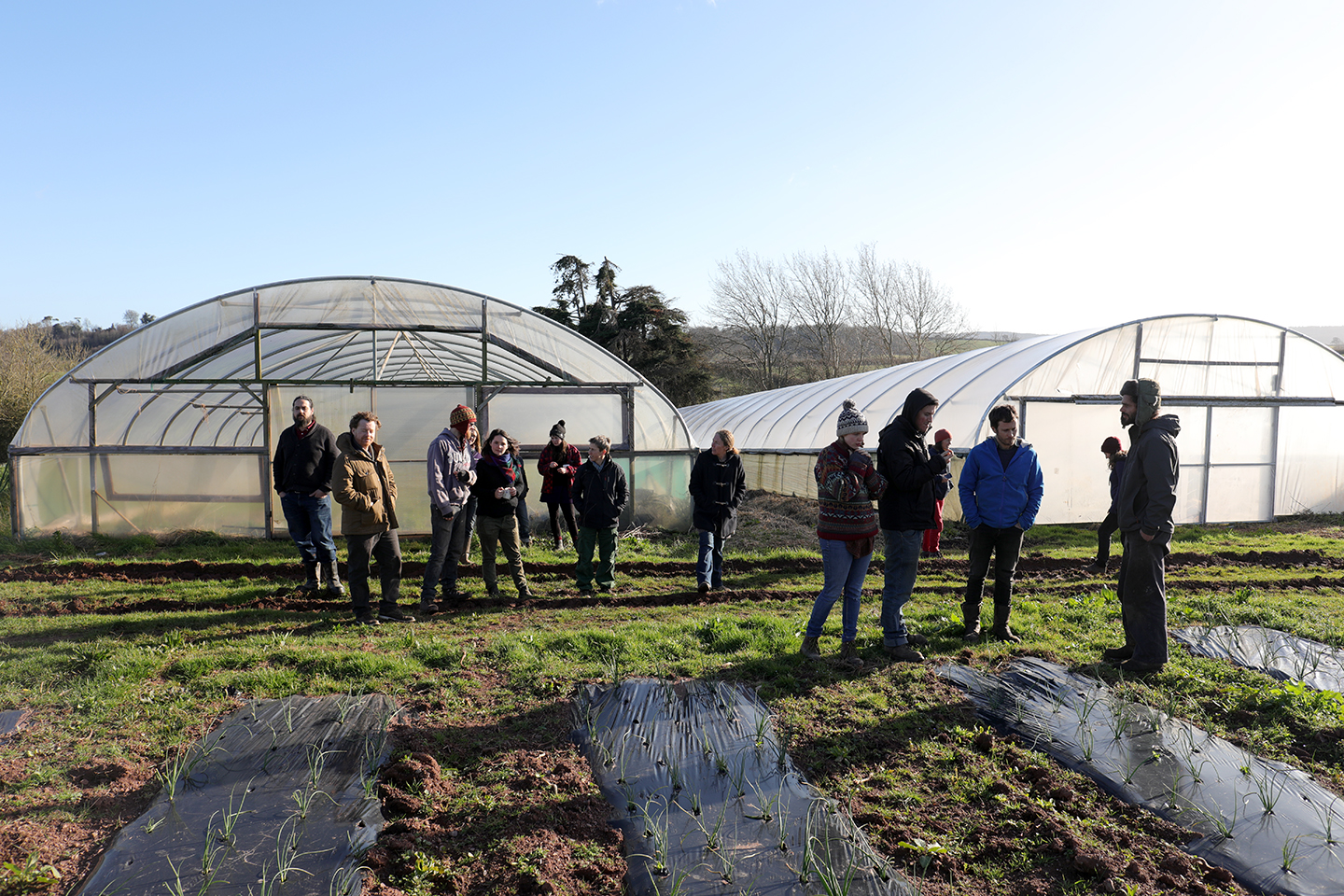 Brassica Training with Real Seeds – 20th Feb