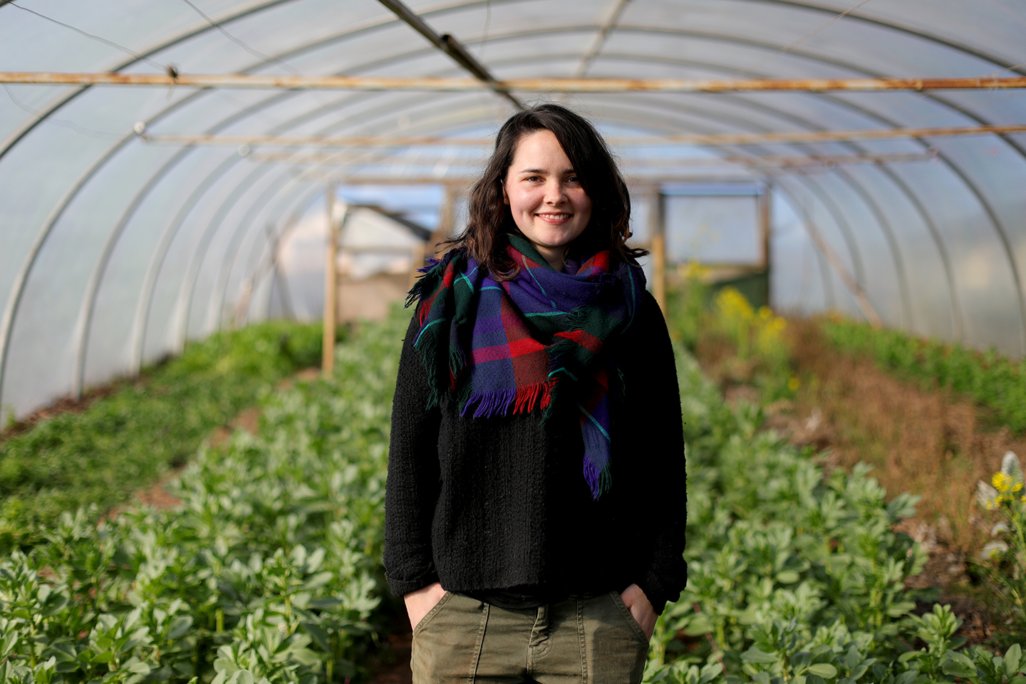 South West Seed Savers Cooperative gets Growing