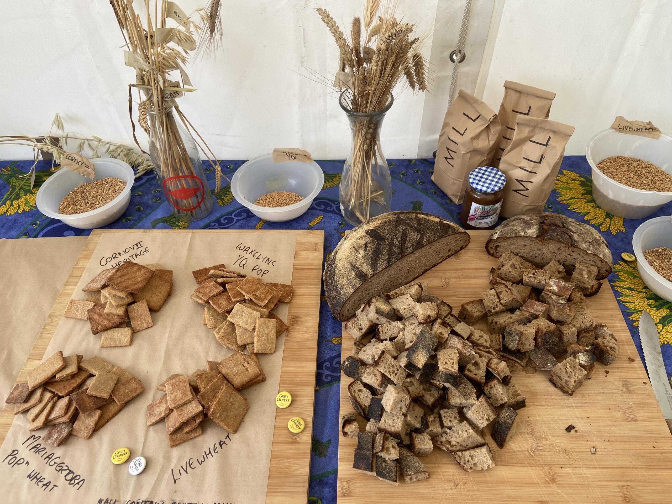 Placing seed at the heart of Groundswell